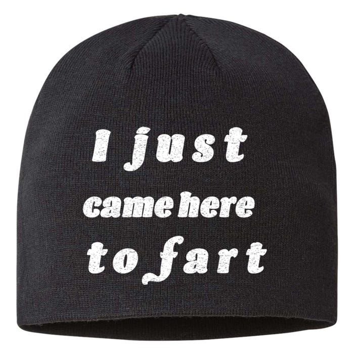 I Just Came Here To Fart Sustainable Beanie