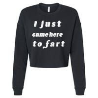 I Just Came Here To Fart Cropped Pullover Crew