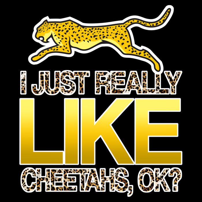 I Just Like Cheetahs Ok 16 in Basic Backpack