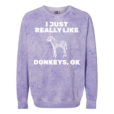 I Just Really Like Donkeys Ok Colorblast Crewneck Sweatshirt