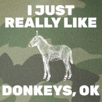 I Just Really Like Donkeys Ok Legacy Tie Dye Trucker Hat