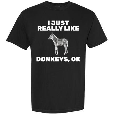 I Just Really Like Donkeys Ok Garment-Dyed Heavyweight T-Shirt