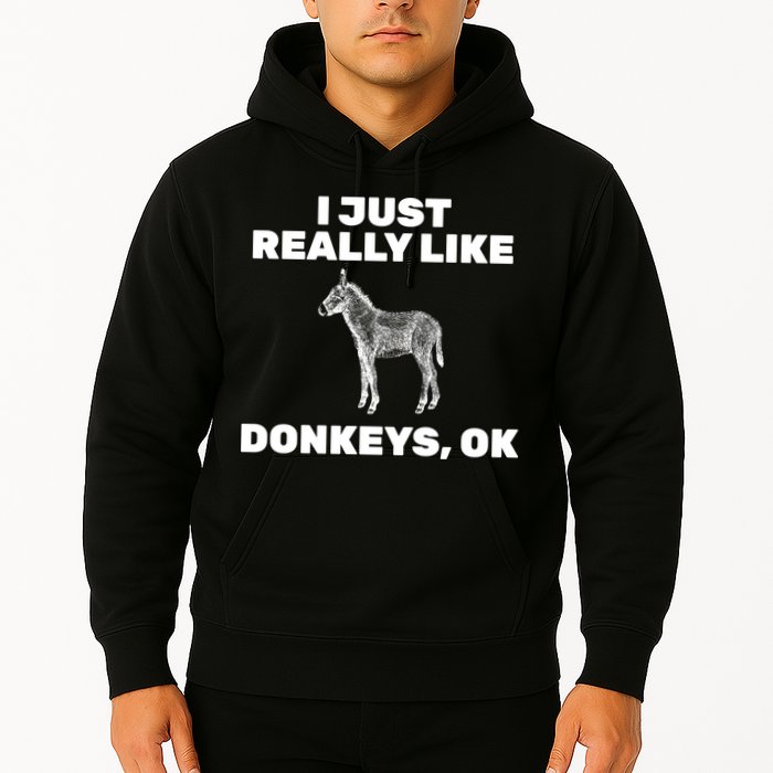 I Just Really Like Donkeys Ok Hoodie