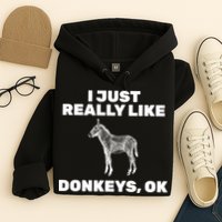 I Just Really Like Donkeys Ok Hoodie