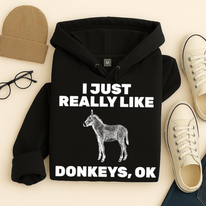I Just Really Like Donkeys Ok Hoodie