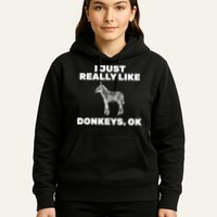 I Just Really Like Donkeys Ok Hoodie
