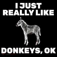 I Just Really Like Donkeys Ok Tall T-Shirt