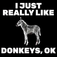 I Just Really Like Donkeys Ok Backpack