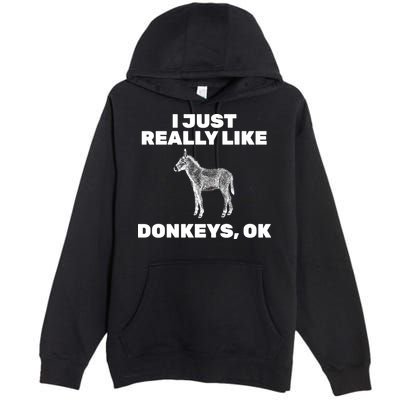 I Just Really Like Donkeys Ok Premium Pullover Hoodie