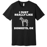 I Just Really Like Donkeys Ok Premium T-Shirt