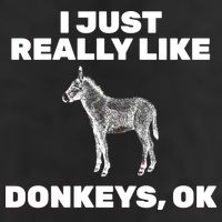 I Just Really Like Donkeys Ok Hat