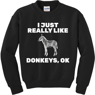 I Just Really Like Donkeys Ok Kids Sweatshirt