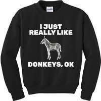 I Just Really Like Donkeys Ok Kids Sweatshirt