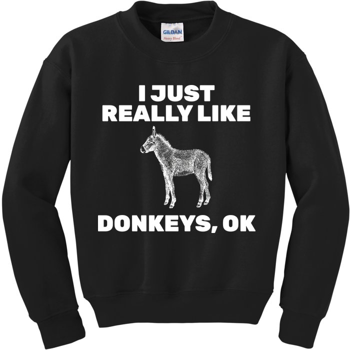 I Just Really Like Donkeys Ok Kids Sweatshirt