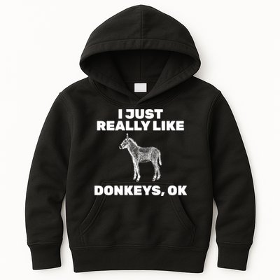 I Just Really Like Donkeys Ok Kids Hoodie