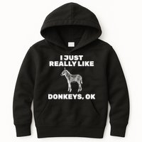 I Just Really Like Donkeys Ok Kids Hoodie