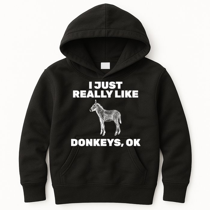 I Just Really Like Donkeys Ok Kids Hoodie