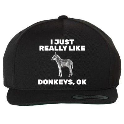 I Just Really Like Donkeys Ok Wool Snapback Cap