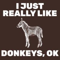 I Just Really Like Donkeys Ok T-Shirt