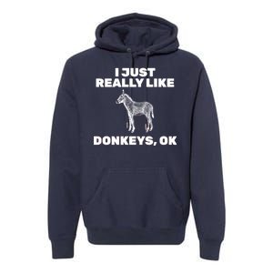 I Just Really Like Donkeys Ok Premium Hoodie