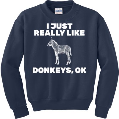 I Just Really Like Donkeys Ok Kids Sweatshirt