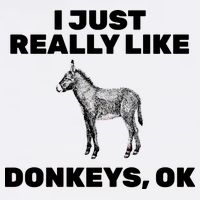 I Just Really Like Donkeys Ok Garment-Dyed Sweatshirt