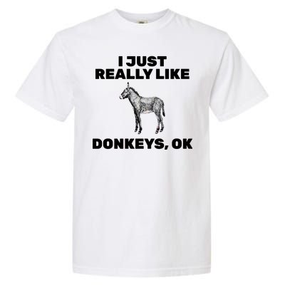 I Just Really Like Donkeys Ok Garment-Dyed Heavyweight T-Shirt