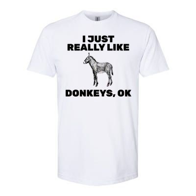 I Just Really Like Donkeys Ok Softstyle CVC T-Shirt