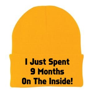 I Just Spent 9 Months on the Inside Knit Cap Winter Beanie