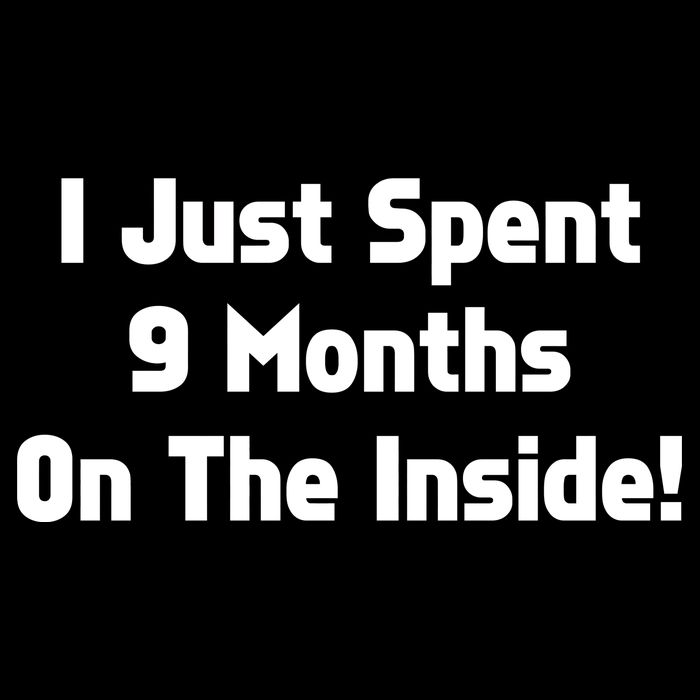 I Just Spent 9 Months on the Inside 7-Panel Snapback Hat