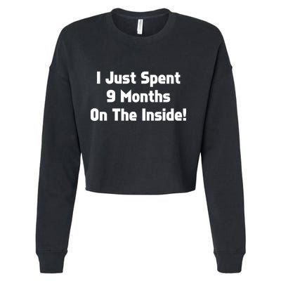 I Just Spent 9 Months on the Inside Cropped Pullover Crew