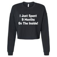 I Just Spent 9 Months on the Inside Cropped Pullover Crew