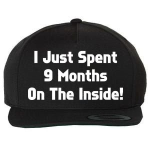 I Just Spent 9 Months on the Inside Wool Snapback Cap