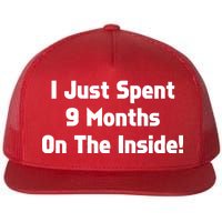 I Just Spent 9 Months on the Inside Flat Bill Trucker Hat