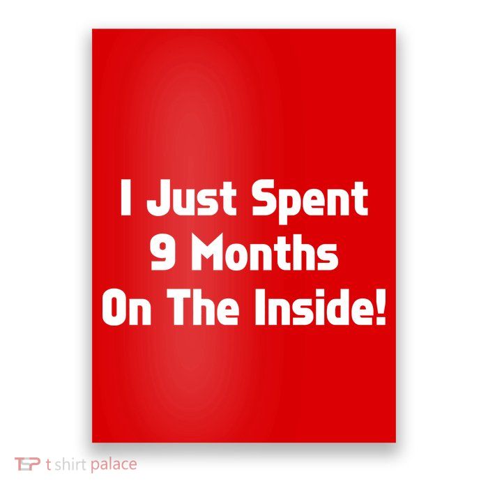 I Just Spent 9 Months on the Inside Poster