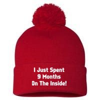 I Just Spent 9 Months on the Inside Pom Pom 12in Knit Beanie