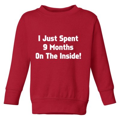 I Just Spent 9 Months on the Inside Toddler Sweatshirt