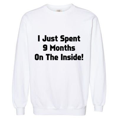 I Just Spent 9 Months on the Inside Garment-Dyed Sweatshirt
