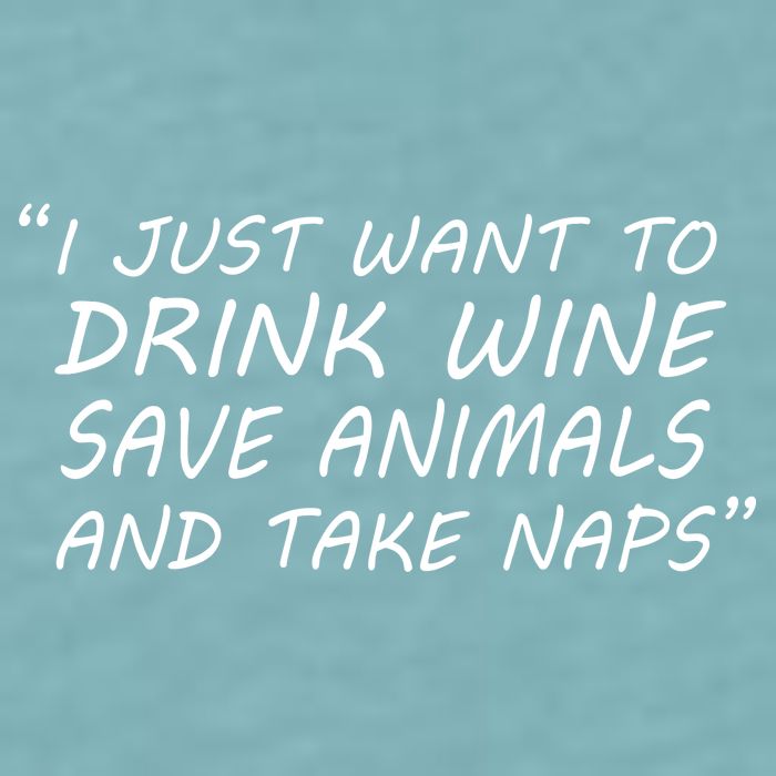 I Just Want To Drink Wine Save Animals And Take Naps Sueded Cloud Jersey T-Shirt