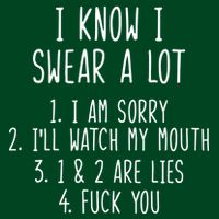 I Know I Swear A Lot Hoodie
