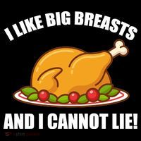 I like Big Breasts And I Cannot Lie Stripe Pom Pom Beanie