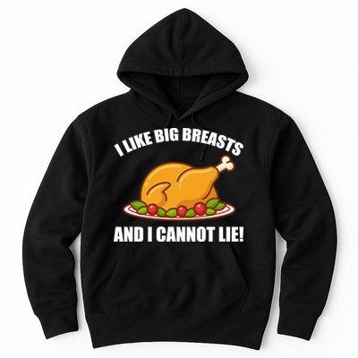 I like Big Breasts And I Cannot Lie Hoodie