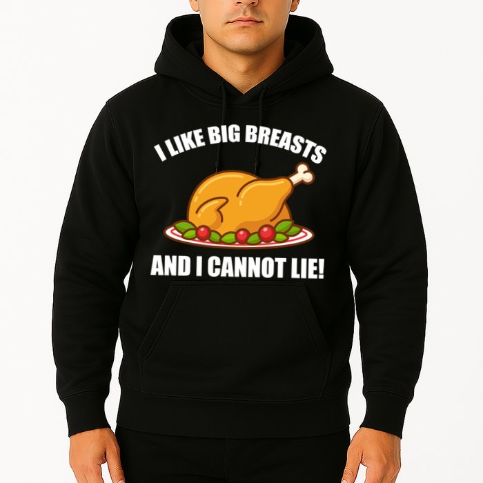 I like Big Breasts And I Cannot Lie Hoodie