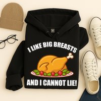I like Big Breasts And I Cannot Lie Hoodie