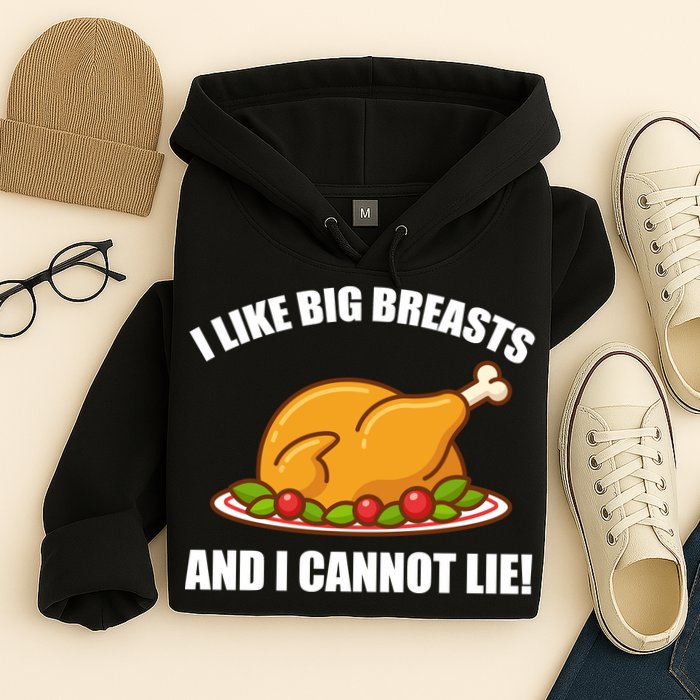 I like Big Breasts And I Cannot Lie Hoodie