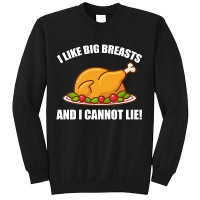 I like Big Breasts And I Cannot Lie Sweatshirt