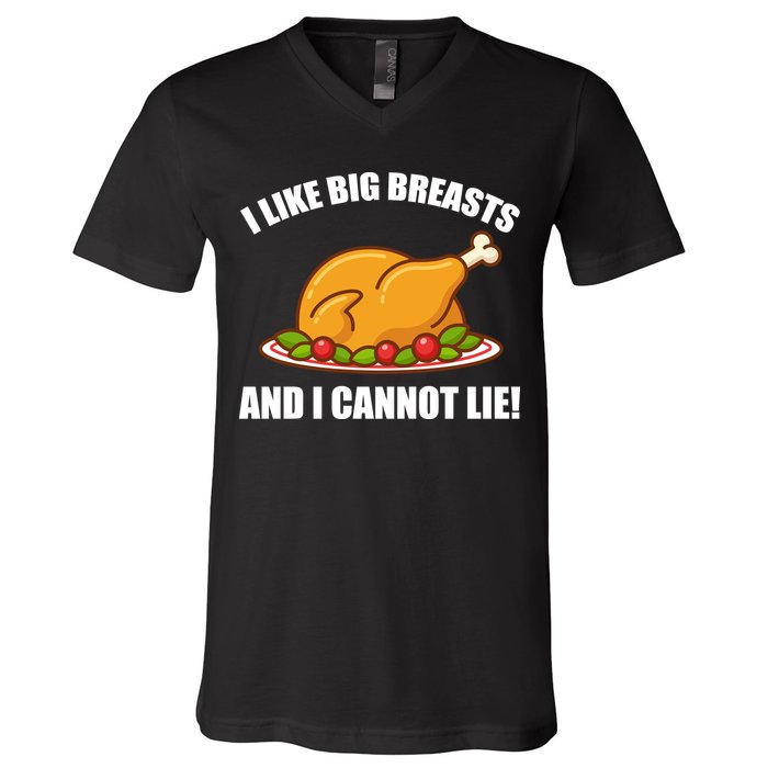I like Big Breasts And I Cannot Lie V-Neck T-Shirt