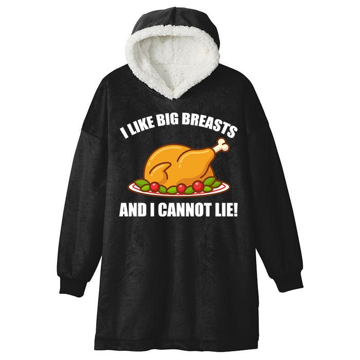I like Big Breasts And I Cannot Lie Hooded Wearable Blanket