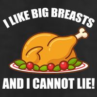 I like Big Breasts And I Cannot Lie 11oz C Handle Ceramic Mug