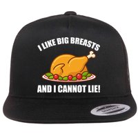 I like Big Breasts And I Cannot Lie Flat Bill Trucker Hat
